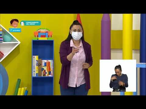 Aprende F&iacute;sica Elemental Jugando: Recursos para Ni&ntilde;os de Primaria en Ciencias Naturales