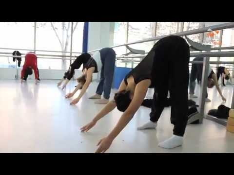 Potenciando el Talento Art&iacute;stico en la Educaci&oacute;n Primaria