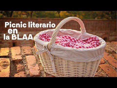 Explorando el Mundo de la Literatura: Visitas Guiadas para Ni&ntilde;os de Primaria