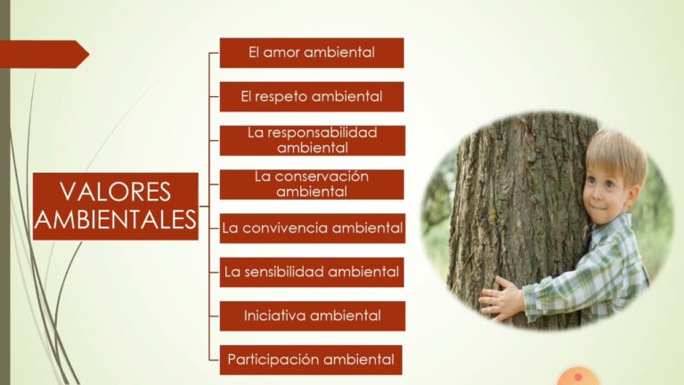 La educaci&oacute;n en valores: clave para la conservaci&oacute;n del medio ambiente