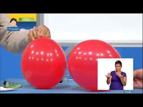 Ejercicios Pr&aacute;cticos de Ciencias para Ni&ntilde;os de Primaria