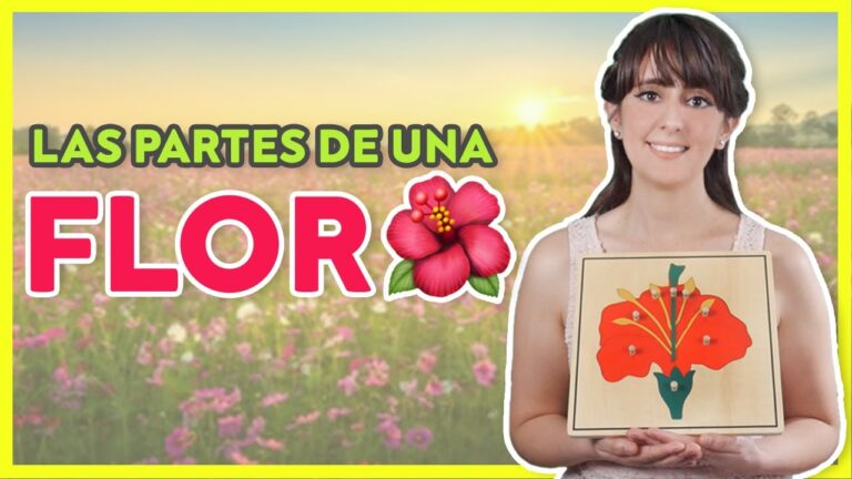 Actividades Educativas de Plantas y Flores para Ni&ntilde;os de Primaria