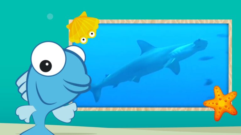 Explorando el Mundo Acu&aacute;tico con Ni&ntilde;os de Primaria