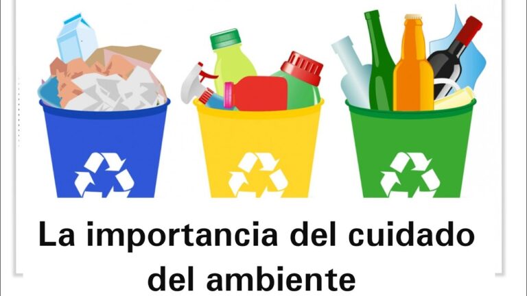 Impacto de los Ciclos Naturales en el Entorno Infantil Escolar