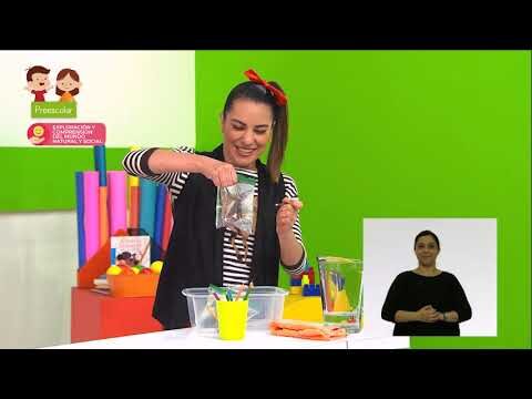 Explorando la Ciencia con Juegos Educativos