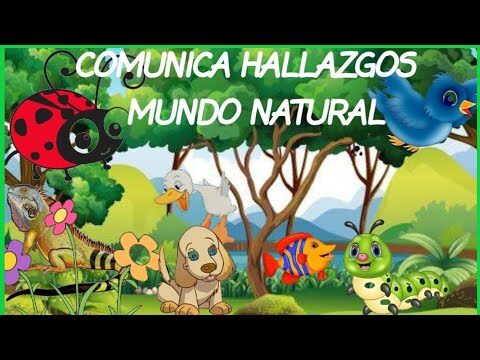Explorando Procesos Naturales con Ni&ntilde;os: Aprendizaje Divertido y Educativo