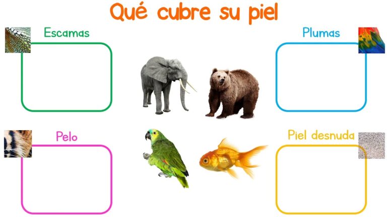 Descubriendo el Mundo Animal: Conocimiento para Ni&ntilde;os de Primaria