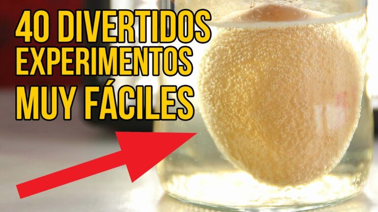 Experimentando la Qu&iacute;mica: Actividades Divertidas para Ni&ntilde;os de Primaria