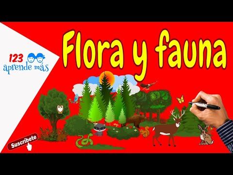 Explorando la Biodiversidad: Introducci&oacute;n para Ni&ntilde;os en Ciencias Naturales