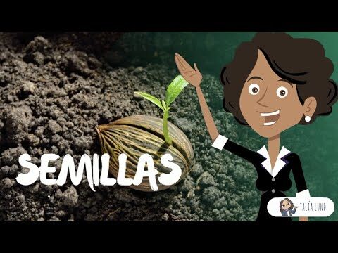 Bot&aacute;nica para Ni&ntilde;os: Aprendizaje Divertido y Adaptado