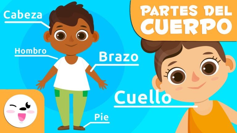 Aprende Anatom&iacute;a Jugando: Diversi&oacute;n para Ni&ntilde;os de Primaria