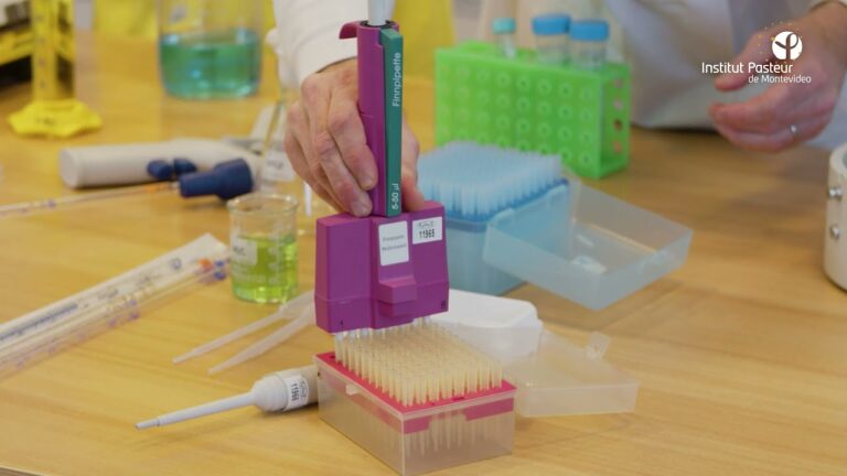 Explorando Talleres de Ciencia para Ni&ntilde;os de Primaria