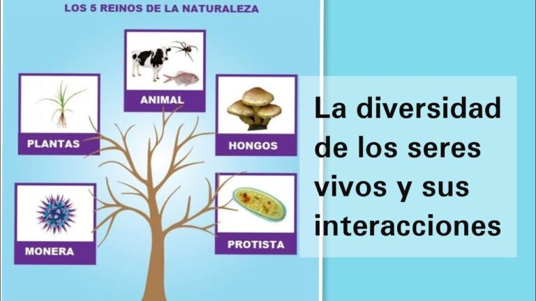 Fomentando el Conocimiento del Medio a trav&eacute;s de la Biodiversidad Animal