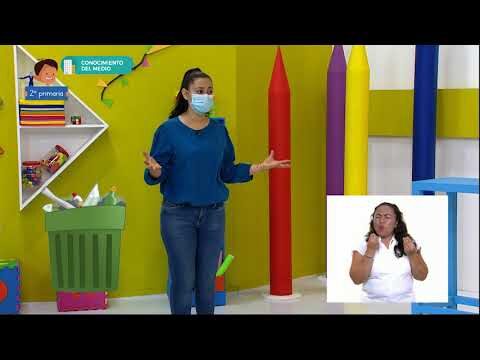 Lecciones de Ecolog&iacute;a Divertidas para Ni&ntilde;os