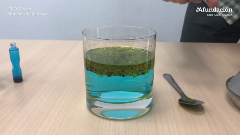 Innovadores Talleres de Ciencia en Geolog&iacute;a para Ni&ntilde;os de Primaria