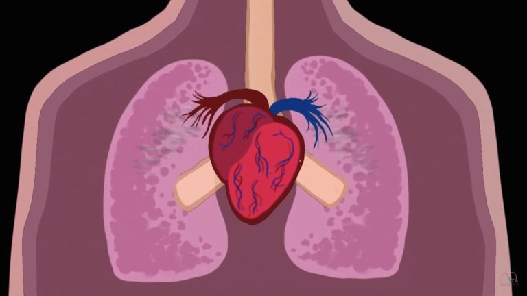 Impacto de la Contaminaci&oacute;n del Aire en la Salud Infantil
