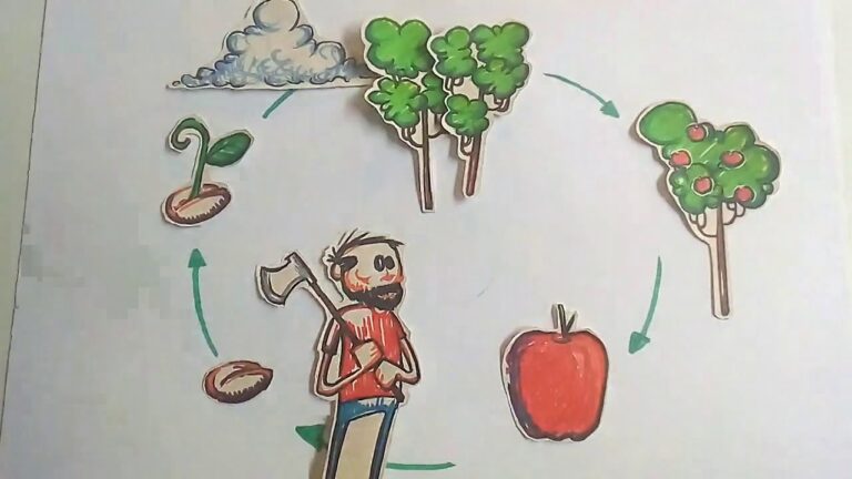 Ciclos Naturales: Un Programa Educativo Innovador para Primaria