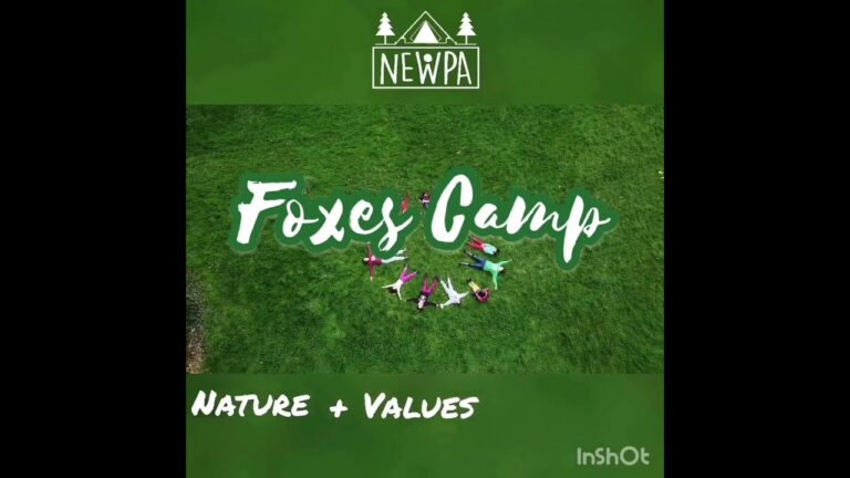 Inmersi&oacute;n en la Naturaleza: Campamentos para Ni&ntilde;os de Primaria