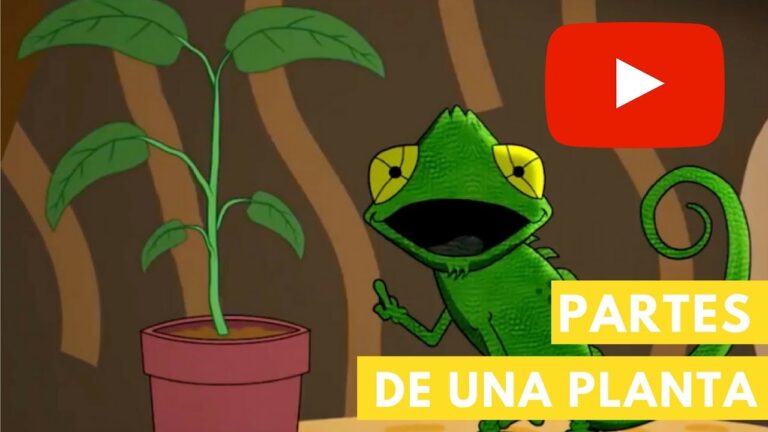 Desarrollo de Habilidades Bot&aacute;nicas en Ciencias Naturales para Ni&ntilde;os de Primaria