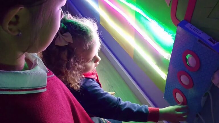 Estimulaci&oacute;n Sensorial Efectiva en el Aula de Primaria