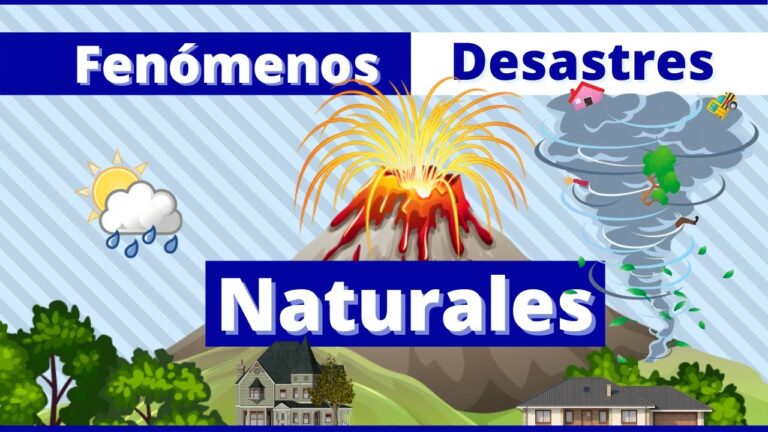 Desastres Naturales: Gu&iacute;a Simple para Ni&ntilde;os de Primaria