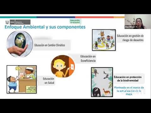 Integrando la Conciencia Ecol&oacute;gica en el Curr&iacute;culo de Primaria