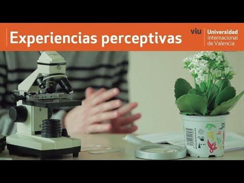 La importancia de ense&ntilde;ar ciencias naturales a ni&ntilde;os