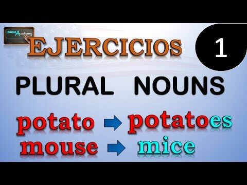 Ejercicios Interactivos para Dominar los Plurales Irregulares