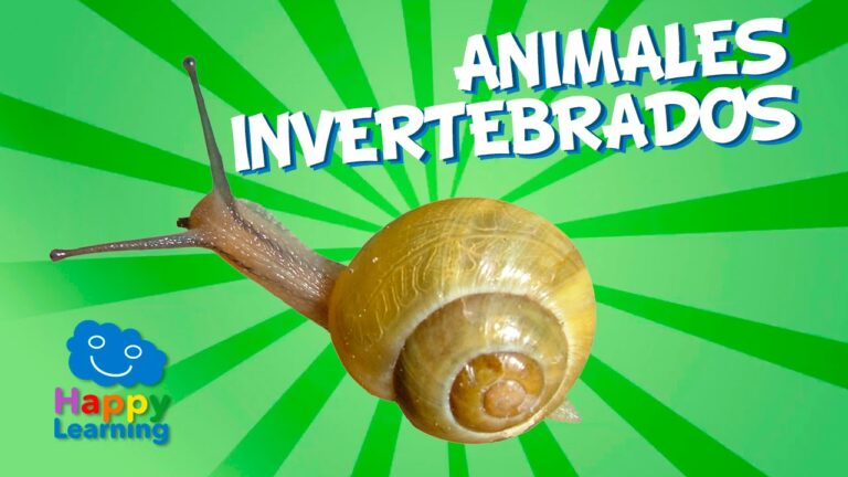 Experimentos Interactivos de Animales para Ni&ntilde;os de Primaria
