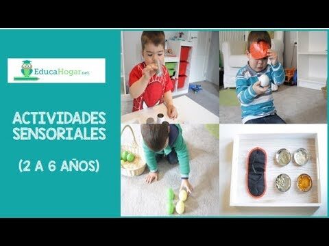 Descubriendo el Mundo a Trav&eacute;s de la Exploraci&oacute;n Sensorial