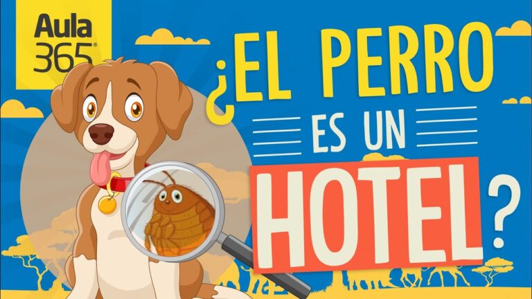 Fomentando la Interacci&oacute;n con la Fauna en Clases de Biolog&iacute;a