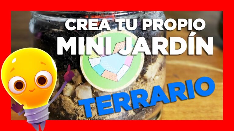 Divi&eacute;rtete Aprendiendo: Experimentos de Plantas para Ni&ntilde;os de Primaria