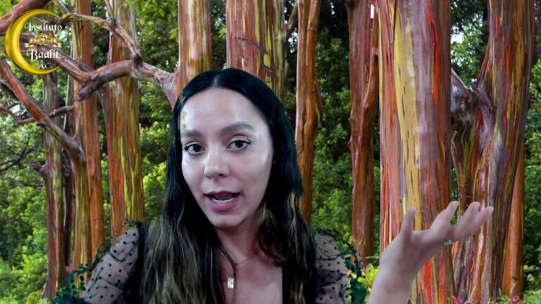 Descubriendo la Magia del Cine a Trav&eacute;s de Actividades L&uacute;dicas