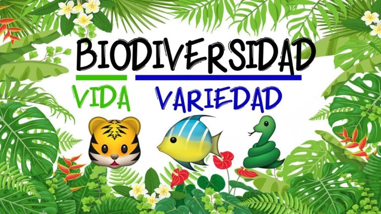 Explorando la Biodiversidad en Ecosistemas Simples